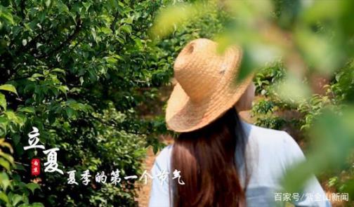 立夏时节：青梅煮酒，饯春迎夏